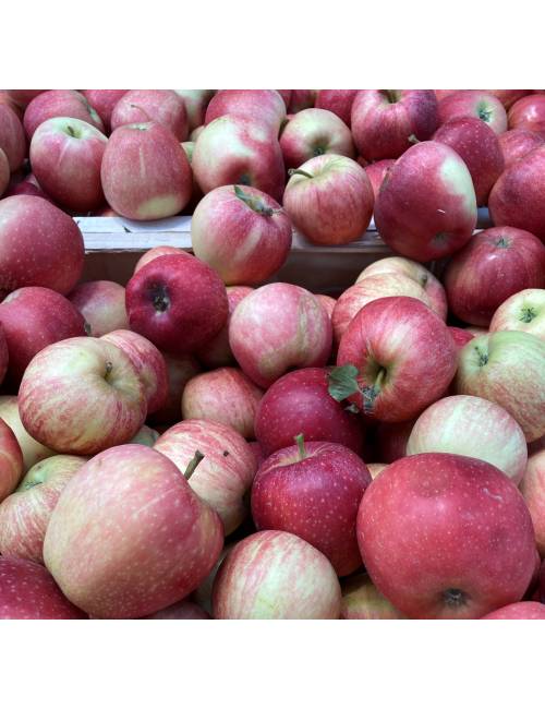 POMME Inored 1kg