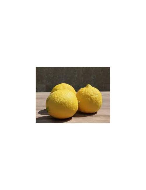 Citrons BIO 1 kg