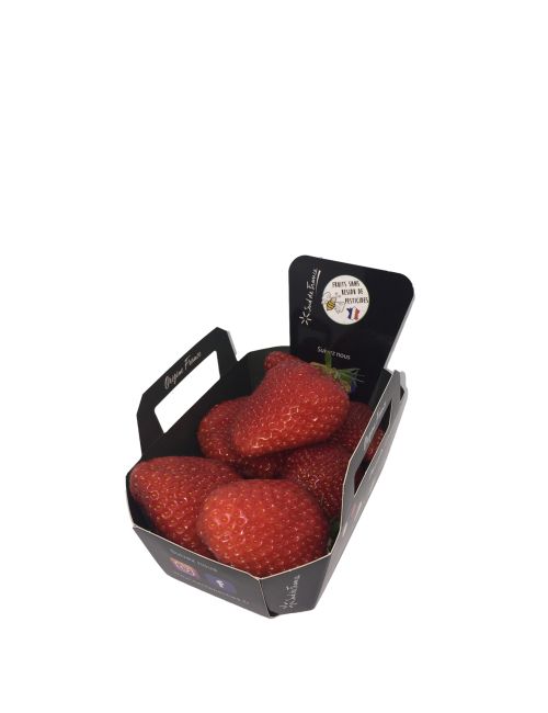 Fraise Gariguette 250 g