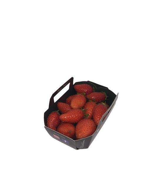 Fraise Ciflorette  250g