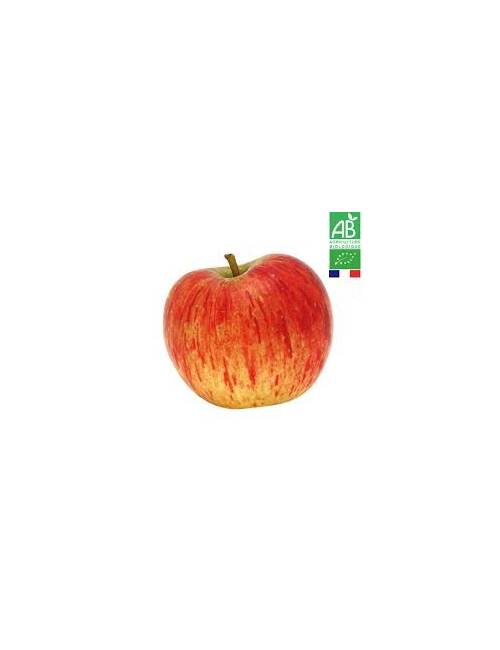 Pomme des Cévennes BIO 1kg | Mas des agriculteurs