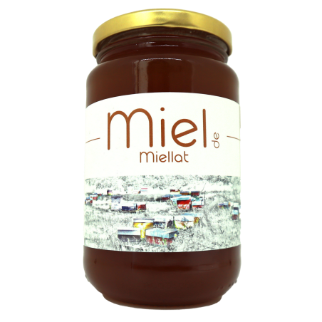 Miel de miellat 500g | Mas des agriculteurs